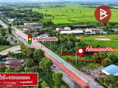 ขายที่ดิน เนื้อที่ 3 งาน 45 ตร.วา ป่าเซ่า อุตรดิตถ์-202509201431441758353504938.jpg