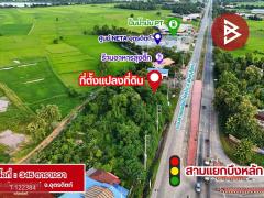 ขายที่ดิน เนื้อที่ 3 งาน 45 ตร.วา ป่าเซ่า อุตรดิตถ์-202509201431451758353505509.jpg