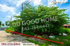 WR-994911 ที่ดินบ้านแพ้ว 22.8 ตร.ว. โครงการปวริศา สมุทรสาคร ใกล้โรงพยาบาลบ้านแพ้ว (องค์การมหาชน)-202509201444421758354282119.jpg