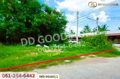 WR-994911 ที่ดินบ้านแพ้ว 22.8 ตร.ว. โครงการปวริศา สมุทรสาคร ใกล้โรงพยาบาลบ้านแพ้ว (องค์การมหาชน)-202509201444431758354283299.jpg