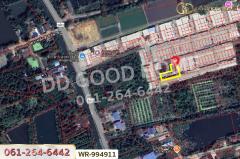 WR-994911 ที่ดินบ้านแพ้ว 22.8 ตร.ว. โครงการปวริศา สมุทรสาคร ใกล้โรงพยาบาลบ้านแพ้ว (องค์การมหาชน)-202509201444471758354287569.jpg