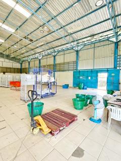 ตรม.ละ 60-80 บาท ถูกที่สุดในสระบุรี  หนองปลาหมอ แยกร่องแซง ให้เช่าโกดัง พร้อมออฟฟิศ  800 ตร.ม. หนองแค สระบุรี  นิคมอุตสาหกรรมเหมราช