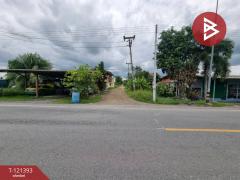 ขายที่ดิน เนื้อที่ 5 ไร่ 3 งาน 8.5 ตร.วา ลำลูกกา ปทุมธานี-202509201557151758358635935.jpg