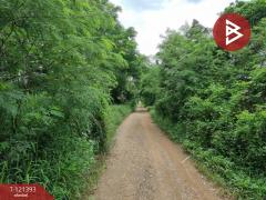 ขายที่ดิน เนื้อที่ 5 ไร่ 3 งาน 8.5 ตร.วา ลำลูกกา ปทุมธานี-202509201557161758358636464.jpg