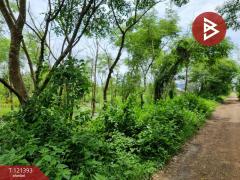 ขายที่ดิน เนื้อที่ 5 ไร่ 3 งาน 8.5 ตร.วา ลำลูกกา ปทุมธานี-202509201557171758358637000.jpg