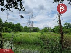 ขายที่ดิน เนื้อที่ 5 ไร่ 3 งาน 8.5 ตร.วา ลำลูกกา ปทุมธานี-202509201557181758358638057.jpg