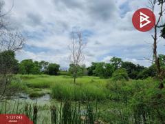 ขายที่ดิน เนื้อที่ 5 ไร่ 3 งาน 8.5 ตร.วา ลำลูกกา ปทุมธานี-202509201557191758358639128.jpg