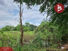 ขายที่ดิน เนื้อที่ 5 ไร่ 3 งาน 8.5 ตร.วา ลำลูกกา ปทุมธานี-202509201557191758358639661.jpg