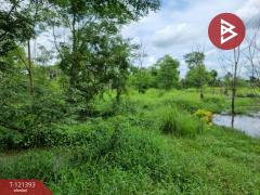 ขายที่ดิน เนื้อที่ 5 ไร่ 3 งาน 8.5 ตร.วา ลำลูกกา ปทุมธานี-202509201557201758358640205.jpg