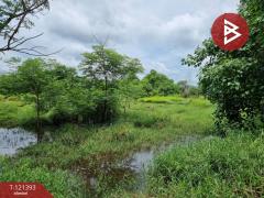 ขายที่ดิน เนื้อที่ 5 ไร่ 3 งาน 8.5 ตร.วา ลำลูกกา ปทุมธานี-202509201557201758358640741.jpg