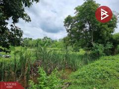 ขายที่ดิน เนื้อที่ 5 ไร่ 3 งาน 8.5 ตร.วา ลำลูกกา ปทุมธานี-202509201557211758358641272.jpg