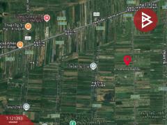 ขายที่ดิน เนื้อที่ 5 ไร่ 3 งาน 8.5 ตร.วา ลำลูกกา ปทุมธานี-202509201557221758358642324.jpg