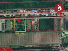 ขายที่ดิน เนื้อที่ 5 ไร่ 3 งาน 8.5 ตร.วา ลำลูกกา ปทุมธานี-202509201557221758358642842.jpg