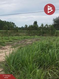 ขายที่ดิน เนื้อที่ 15 ไร่ 11.1 ตารางวา อ.เกาะจันทร์ ชลบุรี-202509201616031758359763435.jpg