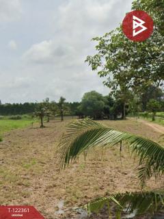 ขายที่ดิน เนื้อที่ 15 ไร่ 11.1 ตารางวา อ.เกาะจันทร์ ชลบุรี-202509201616041758359764060.jpg