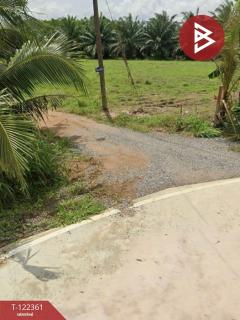 ขายที่ดิน เนื้อที่ 15 ไร่ 11.1 ตารางวา อ.เกาะจันทร์ ชลบุรี-202509201616061758359766113.jpg