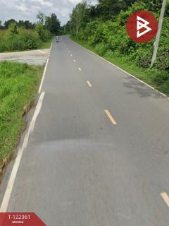 ขายที่ดิน เนื้อที่ 15 ไร่ 11.1 ตารางวา อ.เกาะจันทร์ ชลบุรี-202509201616061758359766625.jpg