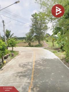 ขายที่ดิน เนื้อที่ 15 ไร่ 11.1 ตารางวา อ.เกาะจันทร์ ชลบุรี-202509201616071758359767633.jpg