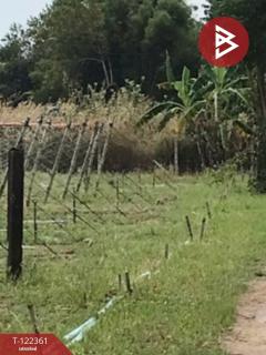 ขายที่ดิน เนื้อที่ 15 ไร่ 11.1 ตารางวา อ.เกาะจันทร์ ชลบุรี-202509201616081758359768649.jpg