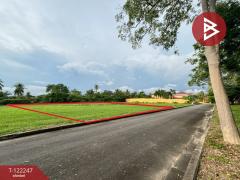 ขายที่ดิน เนื้อที่ 1 ไร่ 20 ตร.วา บ้านฉาง ระยอง-202509201623031758360183566.jpg