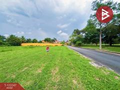 ขายที่ดิน เนื้อที่ 1 ไร่ 20 ตร.วา บ้านฉาง ระยอง-202509201623051758360185158.jpg