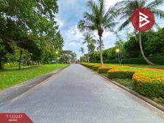 ขายที่ดิน เนื้อที่ 1 ไร่ 20 ตร.วา บ้านฉาง ระยอง-202509201623061758360186215.jpg