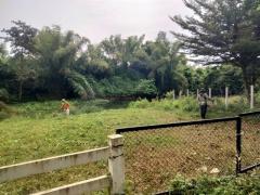 ขายที่ดินติดแม่น้ำเพชรบุรี 1 ไร่  67 ตารางวา ทำเลธรรมชาติ   เพชรบุรี-202509201632191758360739061.jpg