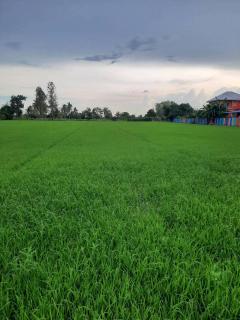 ขายที่ดิน 5ไร่ 97 ตรว.