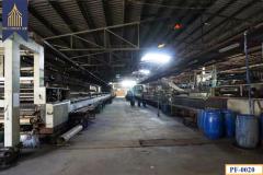 ขายโกดังโรงงานสีม่วง บางโปรง สมุทรปราการ-202509210025391758389139682.jpg