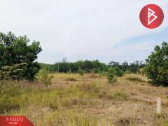 ขายที่ดิน เนื้อที่ 7 ไร่ 39.7 ตร.วา แสลง จันทบุรี-202509211036521758425812121.jpg