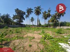 ขายด่วนที่ดิน เนื้อที่ 1 ไร่ 2 งาน 13.3 ตารางวา บ้านโป่ง ราชบุรี-202509211123571758428637926.jpg