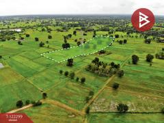 ขายที่ดิน เนื้อที่ 17 ไร่ 76 ตารางวา แวงใหญ่ ขอนแก่น ติดเสาไฟฟ้าแรงสูง