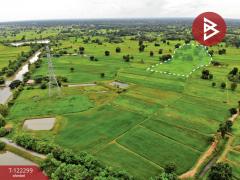 ขายที่ดิน เนื้อที่ 17 ไร่ 76 ตารางวา แวงใหญ่ ขอนแก่น ติดเสาไฟฟ้าแรงสูง-202509211311401758435100340.jpg