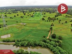 ขายที่ดิน เนื้อที่ 17 ไร่ 76 ตารางวา แวงใหญ่ ขอนแก่น ติดเสาไฟฟ้าแรงสูง-202509211311411758435101420.jpg