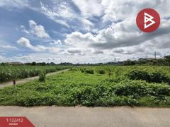 ขายที่ดิน เนื้อที่ 1 ไร่ 55.1 ตร.วา ท่ามะกา กาญจนบุรี-202509211339391758436779557.jpg