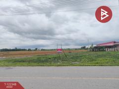 ขายที่ดิน เนื้อที่ 1 งาน 50 ตร.วา บางขวัญ ฉะเชิงเทรา-202509211352531758437573464.jpg