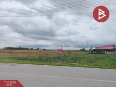 ขายที่ดิน เนื้อที่ 1 งาน 50 ตร.วา บางขวัญ ฉะเชิงเทรา-202509211352541758437574488.jpg