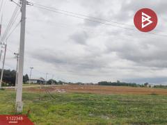 ขายที่ดิน เนื้อที่ 1 งาน 50 ตร.วา บางขวัญ ฉะเชิงเทรา-202509211352551758437575562.jpg