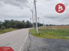 ขายที่ดิน เนื้อที่ 1 งาน 50 ตร.วา บางขวัญ ฉะเชิงเทรา-202509211352561758437576075.jpg