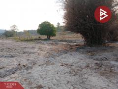 ขายที่ดิน เนื้อที่ 407 ตารางวา บ้านก้านเหลืองดง อ.ดงหลวง มุกดาหาร-202509211442421758440562949.jpg