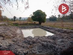 ขายที่ดิน เนื้อที่ 407 ตารางวา บ้านก้านเหลืองดง อ.ดงหลวง มุกดาหาร-202509211442431758440563469.jpg