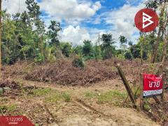 ขายที่ดิน-เนื้อที่-3-ไร่-2-งาน-16-ตารางว