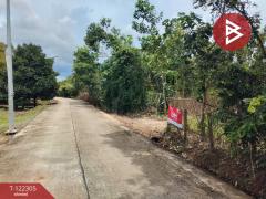 ขายที่ดิน เนื้อที่ 3 ไร่ 2 งาน 16 ตารางวา คลองนารายณ์ จันทบุรี-202509211540341758444034502.jpg