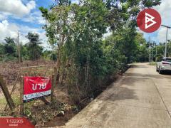 ขายที่ดิน เนื้อที่ 3 ไร่ 2 งาน 16 ตารางวา คลองนารายณ์ จันทบุรี-202509211540351758444035035.jpg