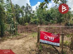 ขายที่ดิน เนื้อที่ 3 ไร่ 2 งาน 16 ตารางวา คลองนารายณ์ จันทบุรี-202509211540351758444035564.jpg