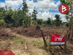 ขายที่ดิน เนื้อที่ 3 ไร่ 2 งาน 16 ตารางวา คลองนารายณ์ จันทบุรี-202509211540361758444036100.jpg