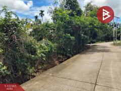 ขายที่ดิน เนื้อที่ 3 ไร่ 2 งาน 16 ตารางวา คลองนารายณ์ จันทบุรี-202509211540361758444036836.jpg