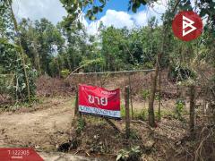 ขายที่ดิน เนื้อที่ 3 ไร่ 2 งาน 16 ตารางวา คลองนารายณ์ จันทบุรี-202509211540371758444037370.jpg