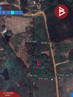 ขายที่ดินเปล่า เนื้อที่ 3 ไร่ 47 ตารางวา หนองปรือ พนัสนิคม ชลบุรี-202509211617081758446228209.jpg