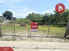 ขายที่ดิน-เนื้อที่-1-งาน-50-ตร.วา-ห้วยกะ